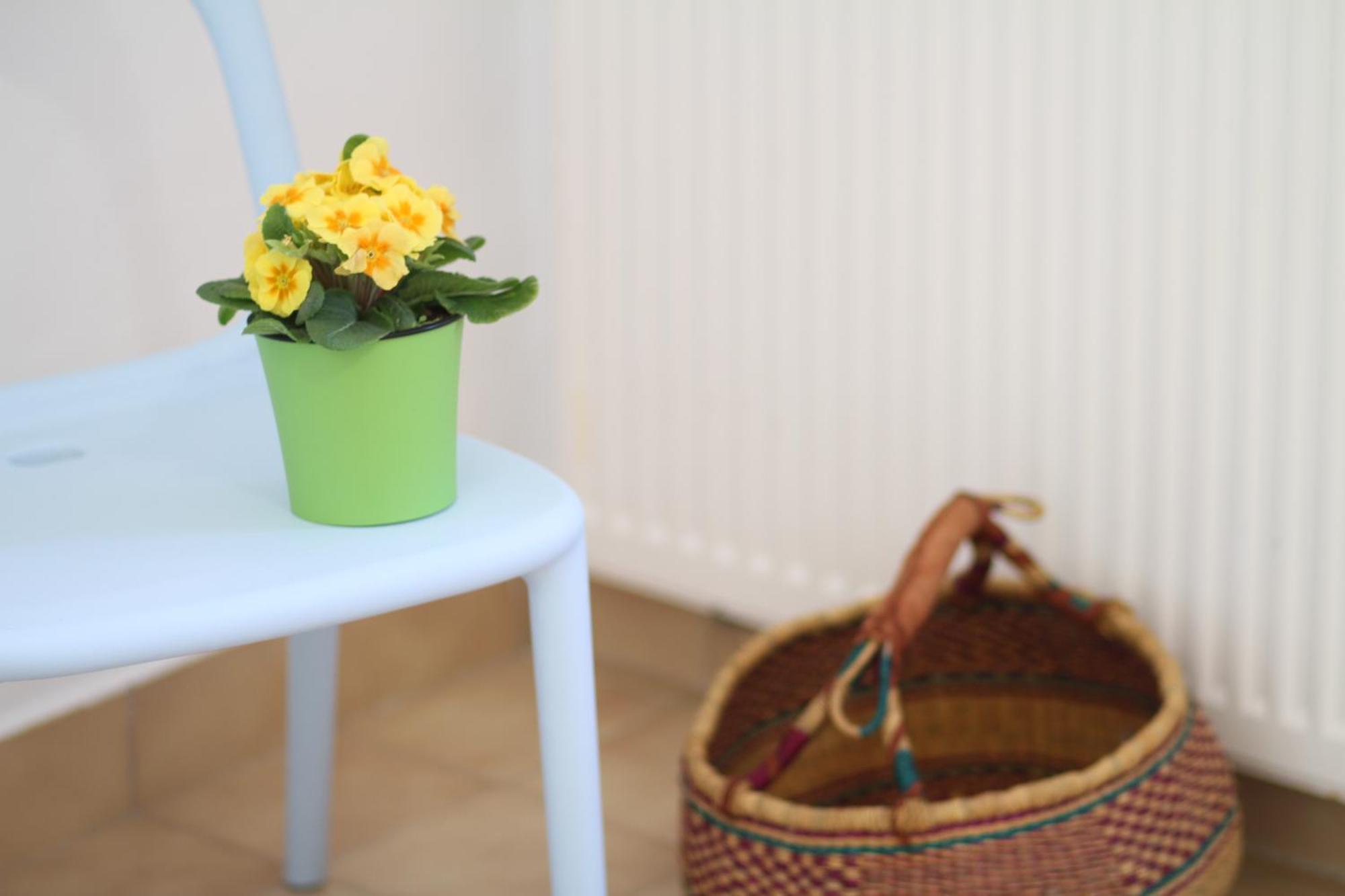 Apartament - Compartir Cadaqués Buitenkant foto